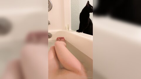 Asianasstro 21 04 2020 249236145 When One Of My Cats Wants To Join Me