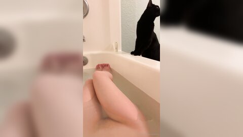 Asianasstro 21 04 2020 249236145 When One Of My Cats Wants To Join Me