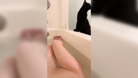Asianasstro 21 04 2020 249236145 When One Of My Cats Wants To Join Me