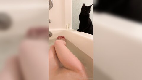 Asianasstro 21 04 2020 249236145 When One Of My Cats Wants To Join Me