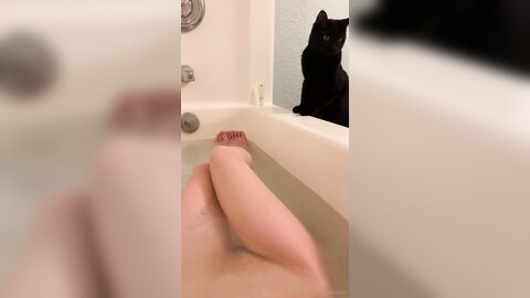 Asianasstro 21 04 2020 249236145 When One Of My Cats Wants To Join Me