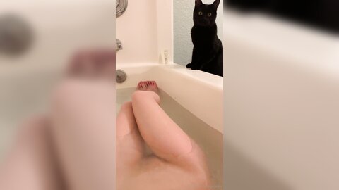 Asianasstro 21 04 2020 249236145 When One Of My Cats Wants To Join Me
