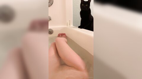 Asianasstro 21 04 2020 249236145 When One Of My Cats Wants To Join Me