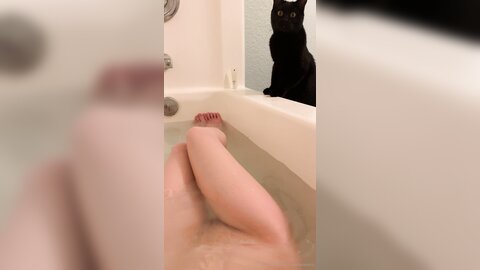Asianasstro 21 04 2020 249236145 When One Of My Cats Wants To Join Me