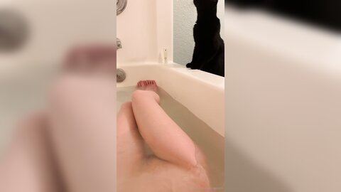 Asianasstro 21 04 2020 249236145 When One Of My Cats Wants To Join Me