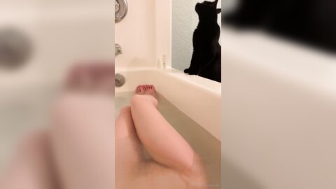 Asianasstro 21 04 2020 249236145 When One Of My Cats Wants To Join Me