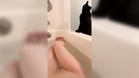 Asianasstro 21 04 2020 249236145 When One Of My Cats Wants To Join Me