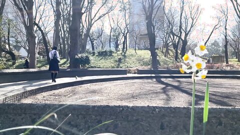 TDMN-018 Sex Charm Yuka Ichii