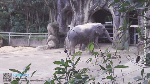 2023 04 13 Sex Vlog In Taipei Full Version At Onlyfans 6437A50D73B80
