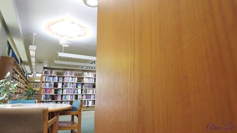 Layndare I Take My Panties Off At The Library
