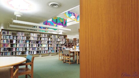 Layndare I Take My Panties Off At The Library