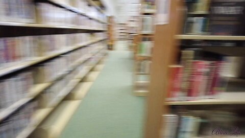 Layndare I Take My Panties Off At The Library