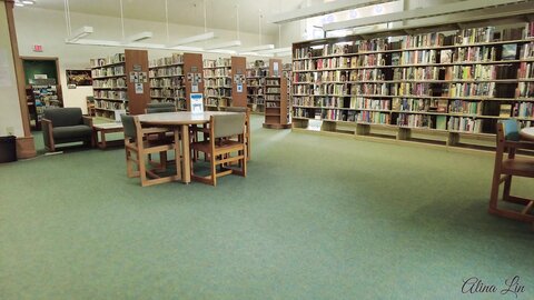 Layndare I Take My Panties Off At The Library