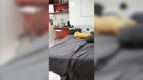 95后美女崔琳追加影像完整版