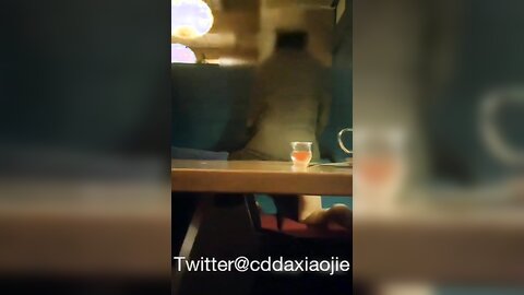 Cd小姐姐』