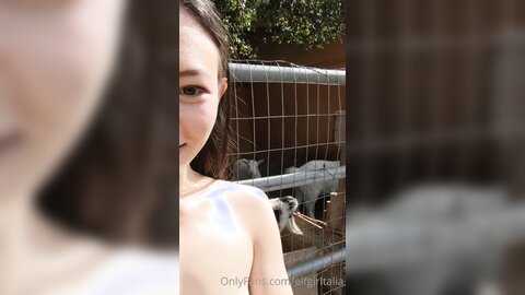 Elfgirltalia 2021 02 12 2029856158 Goats And Sheeple O