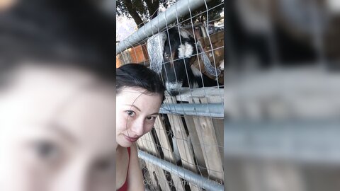 Elfgirltalia 2021 02 22 2036596626 One Last Goat Video Before I Leave This Place