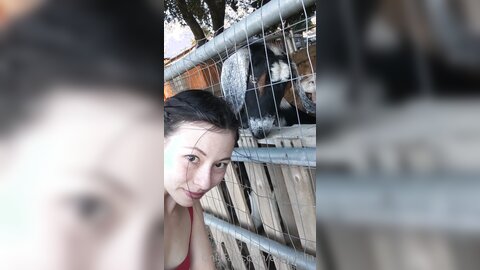 Elfgirltalia 2021 02 22 2036596626 One Last Goat Video Before I Leave This Place