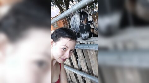 Elfgirltalia 2021 02 22 2036596626 One Last Goat Video Before I Leave This Place