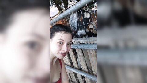 Elfgirltalia 2021 02 22 2036596626 One Last Goat Video Before I Leave This Place