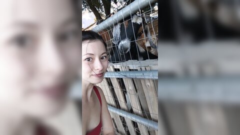 Elfgirltalia 2021 02 22 2036596626 One Last Goat Video Before I Leave This Place