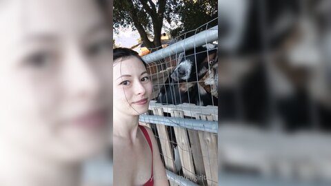 Elfgirltalia 2021 02 22 2036596626 One Last Goat Video Before I Leave This Place