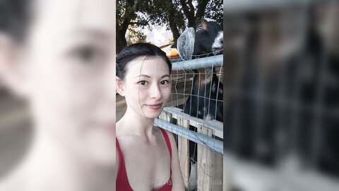 Elfgirltalia 2021 02 22 2036596626 One Last Goat Video Before I Leave This Place
