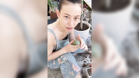 Elfgirltalia 2021 04 15 2084009241 Succulents