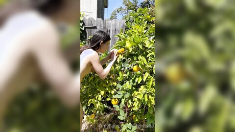 Elfgirltalia 2022 07 15 2503937873 A Reminder Of Past Dorkiness Lemon Stealing Whore