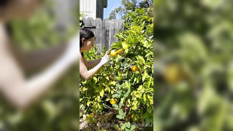 Elfgirltalia 2022 07 15 2503937873 A Reminder Of Past Dorkiness Lemon Stealing Whore