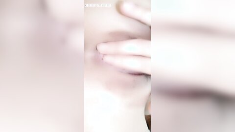 Webcam 3598