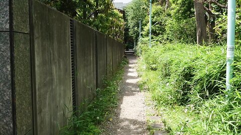 ANX-147 Shin - Limit Event ● Mahiro Miki