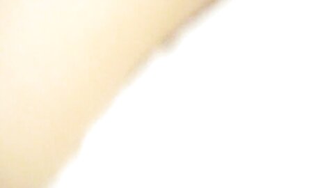 Snv33660