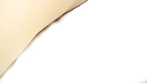 Snv33660