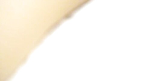 Snv33660