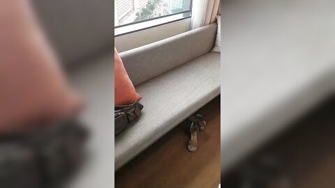 2017-07-20 20 42 39 1 4GZOR6e-mBYfU2xA