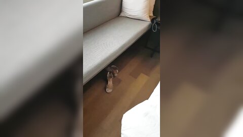 2017-07-20 20 42 39 1 4GZOR6e-mBYfU2xA