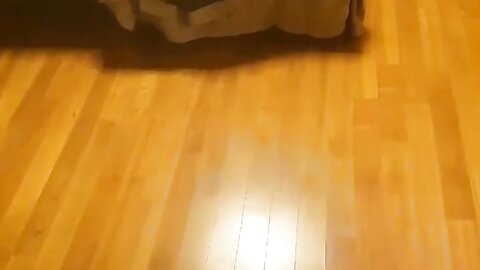 2017-08-02 21 30 10 1 wPtE5fSQOLPqf4cI