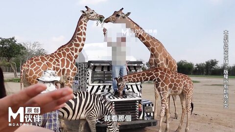 -吴梦梦