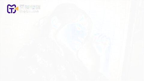 TMW191上了暗恋已久的青梅竹马