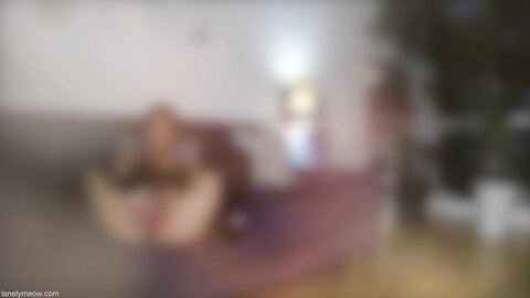 The Sex Story N15 Full Bj