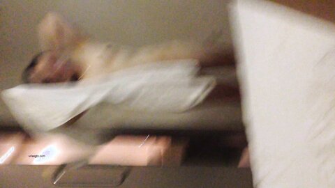 2014 08 24 001718 New Girl Out Of The Bath Angry