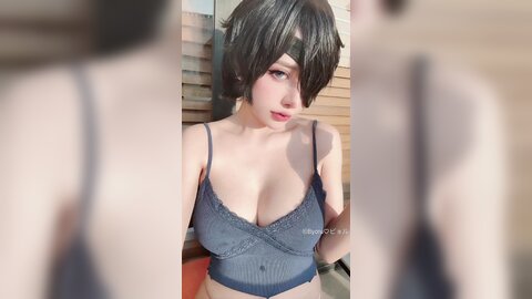 Himeno-V1
