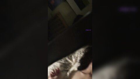 2016 03 08 587412 New Absolutely Highly Colored Moaning