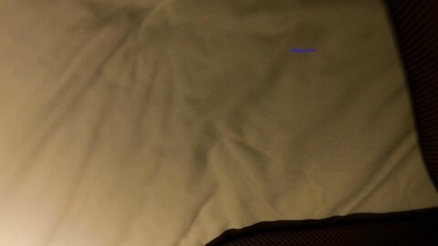 2017 01 16 081547 New Fine Oral Sex Boomerang