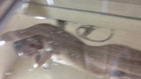 2017 07 11 211518 New Boutique Real Bath