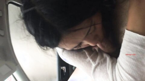 21 Oral Sex In The Car