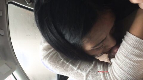 21 Oral Sex In The Car