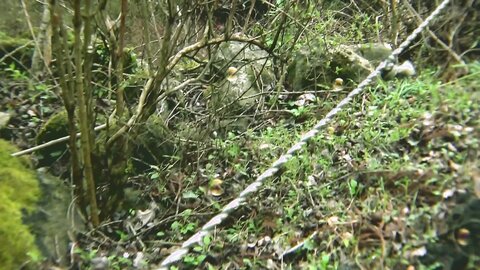 SORA-475 Using The Formula Of pi X Radius X Girl, Find A Solution To The Reiwa Version Of Kaguya-hime, Who...