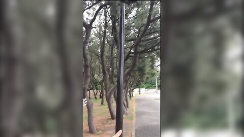 UFBW-2104 Akari Uemura 植村あかり – Greeting ～植村あかり～